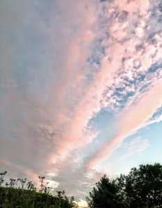 IMG_1526.JPG