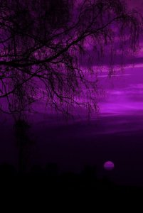 tumblr_pvs5s3LvwC1s519a0o1_1280.jpg