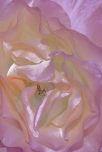 tumblr_pvsvs7J5cG1sj80hno1_1280.jpg