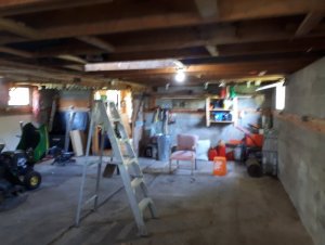 IMG_20190805_110142.jpg