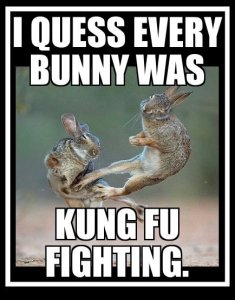 kung foo.jpg