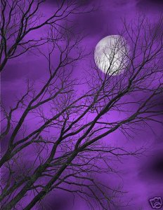 purplemoon.jpg