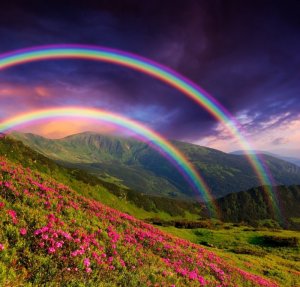 rainbow.jpg