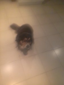20190720_185036.jpg