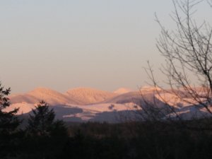 IMG_0272.JPG