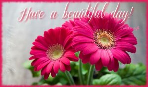 beautifulday.jpg