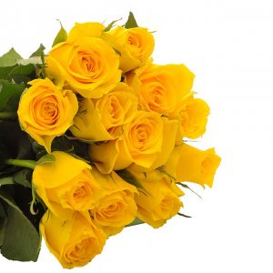 12-yellow-roses-hand-bouquet-fa3386-002.jpg