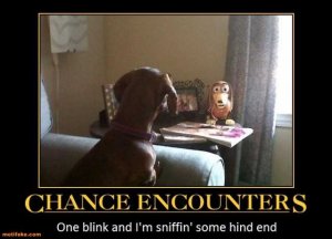 chance-encounters-some-enchanted-evening-demotivational-posters-1330181380.jpg
