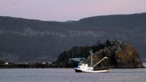 fishing boat Crescent City Harbor.jpg