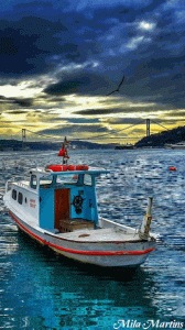 Today 2.gif