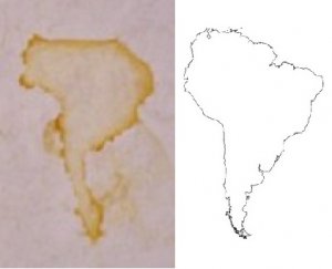 tea stain.jpg