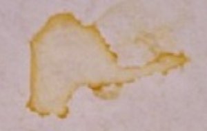 tea stain2.jpg