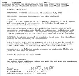 liver scan.jpg