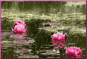 Today 19.gif
