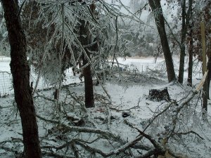 ice storm.jpg