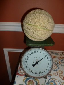 melon.JPG