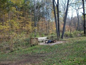 2010 Fall pix 001.JPG
