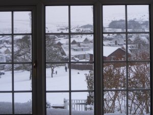 684FF5B8-E5D5-41A6-A520-10F1E1D7D961.jpeg