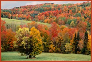 Autumn-Scene-Tunbridge.jpg