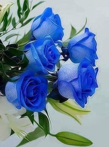 blue 3.jpg