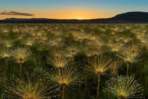 exqui-image-Magical-Sunrise-©-Marcelo-Portella-Brazil-from-sony-world-photo-awards-Copy-768x513.jpg