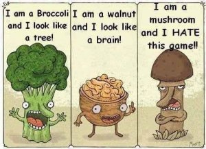 mushroom.jpg