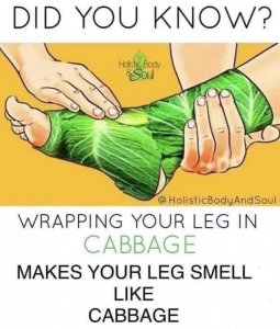 cabbage.jpg