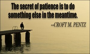 patience.jpg