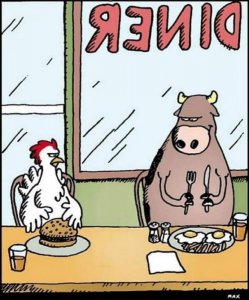 funnycartoon2.jpg
