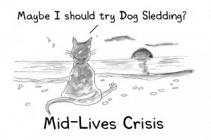 cartoon920b.jpg