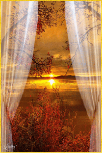 window wind 2017.gif