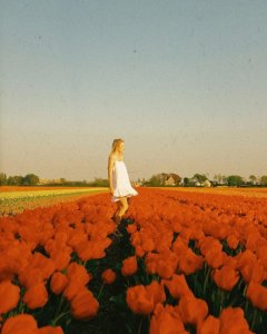 follow me T.jpg