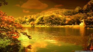 autumn3.jpg