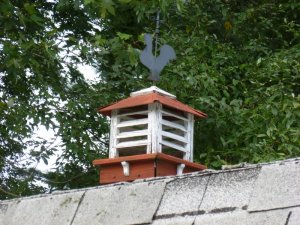 P1040479 (800x600).jpg