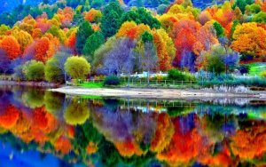 autumn6.jpg