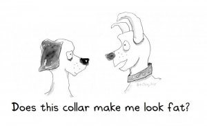cartoon923b.jpg