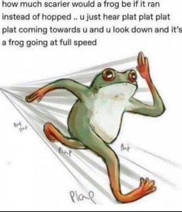 frog.jpg