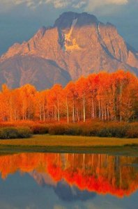 WYOMING.jpg