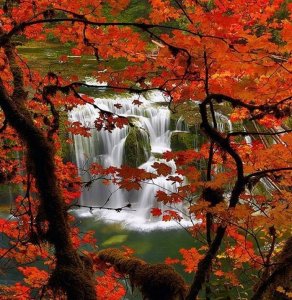 waterfall 2.jpg