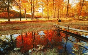 trip-pond_2361255b.jpg