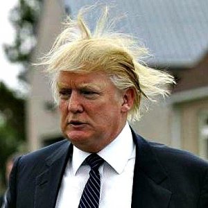 trump-bad-hair-day-e1436799992357.jpg