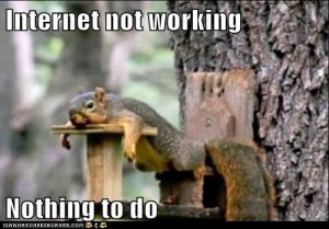 squirrel-no-internet.jpg