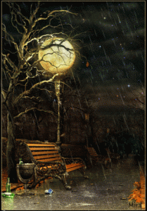 rainy nite 2017.gif