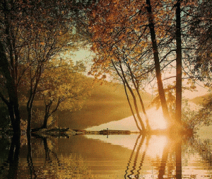aniautumn.gif