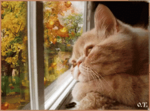 New 5.gif