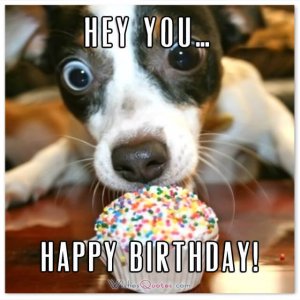 birthday dog.jpg