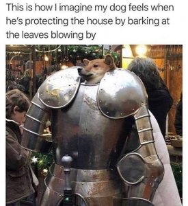hero.jpg