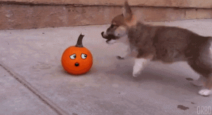 I.gif