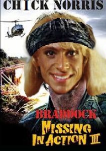 chick norris fin.jpg