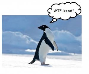 pengy.jpg
